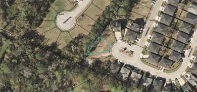 Beach Lot For Sale in Brunswick, Georgia