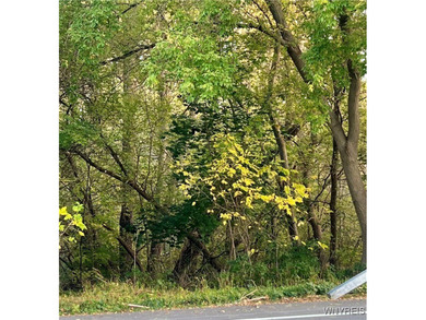 Beach Acreage For Sale in Wilson, New York