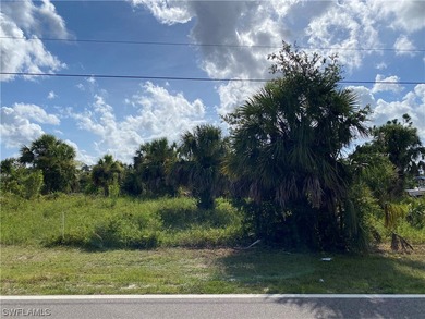 Beach Lot For Sale in Port Charlotte, Florida