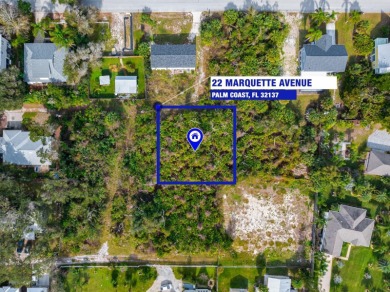 Beach Lot For Sale in Palm Coast, Florida