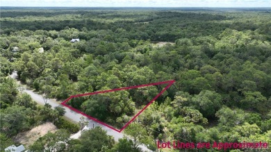 Beach Lot For Sale in Crystal River, Florida