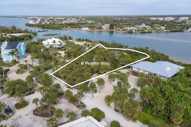 Beach Lot For Sale in Placida, Florida