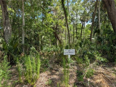 Beach Lot For Sale in Inglis, Florida