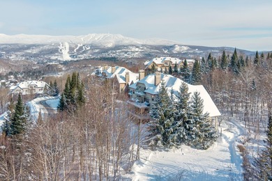 Beach Condo For Sale in Mont-Tremblant, QC