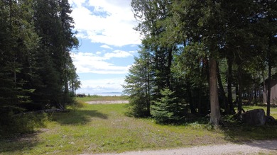 Beach Lot For Sale in Hessel, Michigan