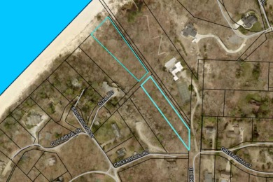 Beach Lot For Sale in Harbert, Michigan