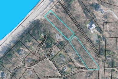 Beach Lot For Sale in Harbert, Michigan