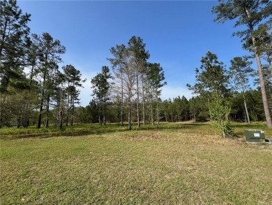 Beach Lot For Sale in Brunswick, Georgia