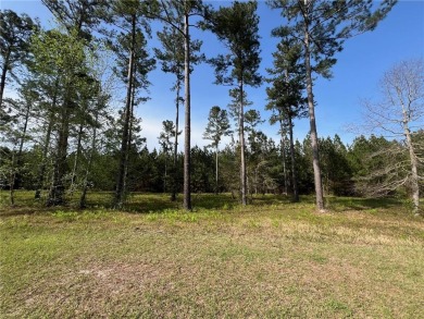 Beach Lot For Sale in Brunswick, Georgia