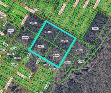 Beach Acreage For Sale in Mandeville, Louisiana