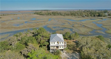 Beach Home For Sale in Darien, Georgia