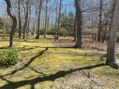 East Hampton Home For Sale 501 Old Stone Highway NY #4856360