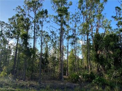 Beach Lot For Sale in Punta Gorda, Florida