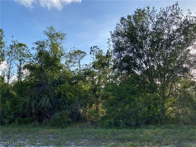 Beach Lot For Sale in Punta Gorda, Florida