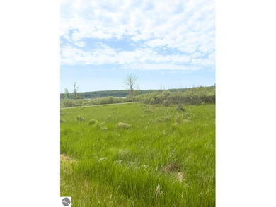 Beach Lot For Sale in Onekama, Michigan