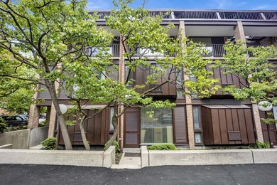 Beach Condo For Sale in Chicago, Illinois