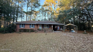 Beach Home For Sale in Arapahoe, North Carolina