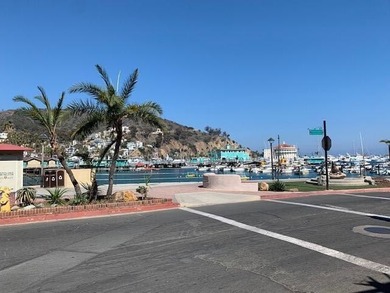 Beach Lot For Sale in Avalon, California