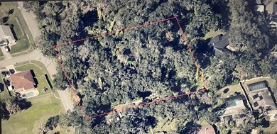 Beach Lot For Sale in Port Orange, Florida