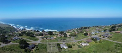 Beach Lot For Sale in Irish Beach, California