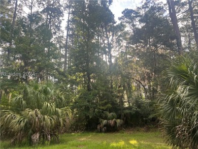 Beach Lot For Sale in Daufuskie Island, South Carolina