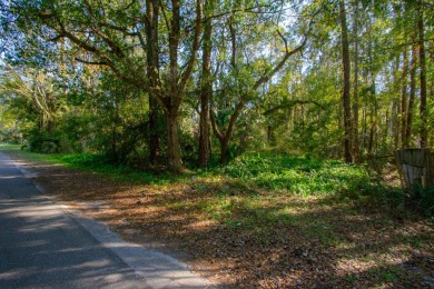 Beach Lot For Sale in St Augustine, Florida