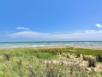 Beach Lot For Sale in Rapid River, Michigan