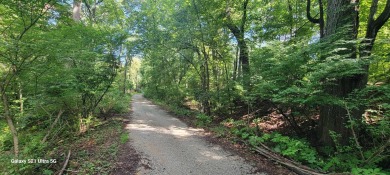 Beach Lot For Sale in New Buffalo, Michigan