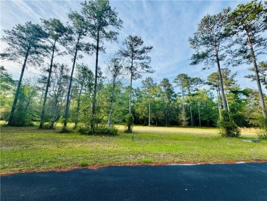 Beach Lot For Sale in Townsend, Georgia