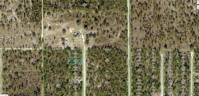 Beach Lot Sale Pending in Weeki Wachee, Florida