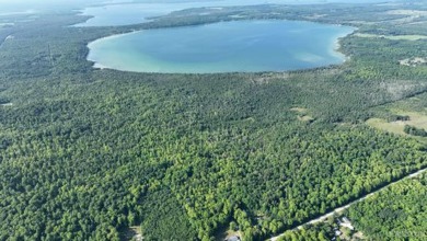 Beach Acreage For Sale in Mcmillan, Michigan