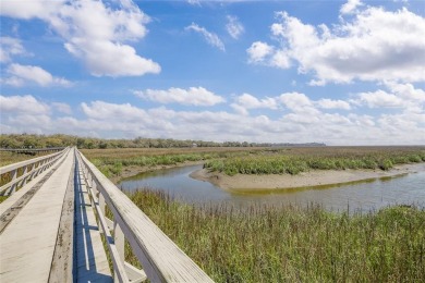 Beach Lot For Sale in Townsend, Georgia