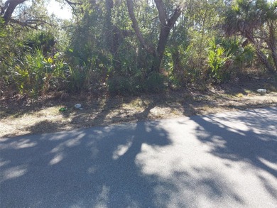 Beach Lot For Sale in Port Charlotte, Florida