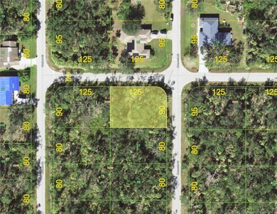 Beach Lot For Sale in Port Charlotte, Florida