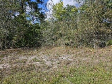 Beach Lot For Sale in Weeki Wachee, Florida