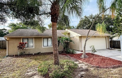 Beach Home For Sale in Palm Harbor, Florida