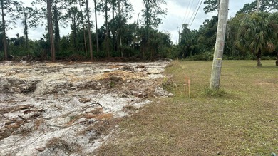 Beach Lot For Sale in Lehigh Acres, Florida