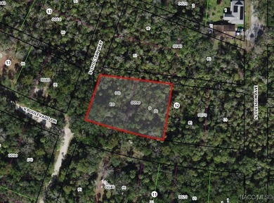 Beach Lot For Sale in Homosassa, Florida