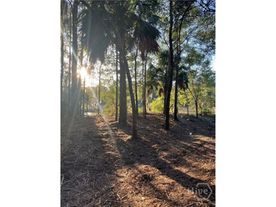 Beach Lot For Sale in Darien, Georgia