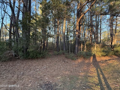 Beach Lot For Sale in New Bern, North Carolina