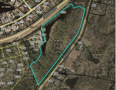 Beach Acreage For Sale in Brunswick, Georgia