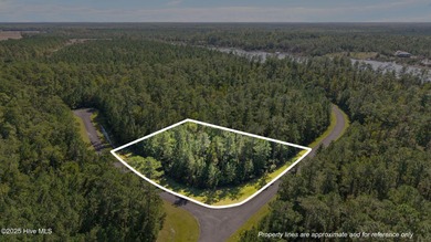 Beach Lot For Sale in Merritt, North Carolina