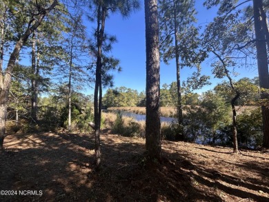 Beach Lot For Sale in Oriental, North Carolina