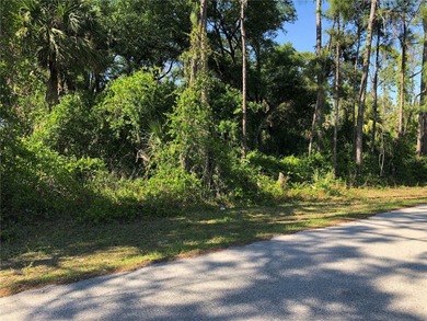 Beach Lot For Sale in North Port, Florida