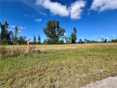 Beach Lot For Sale in Cape Coral, Florida