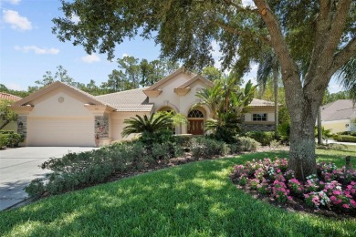 Beach Home Sale Pending in Palm Harbor, Florida