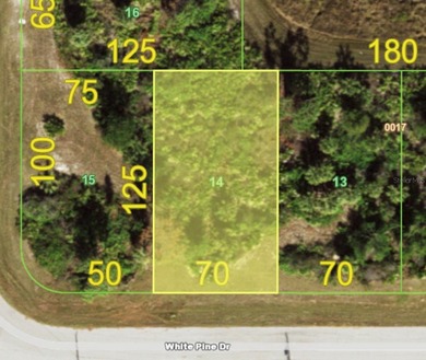 Beach Lot For Sale in Rotonda West, Florida