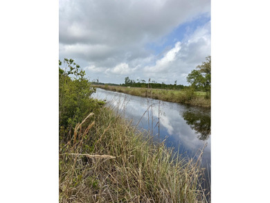 Beach Lot For Sale in Bay Saint Louis, Mississippi