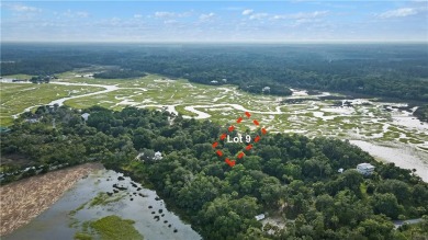 Beach Lot For Sale in Darien, Georgia