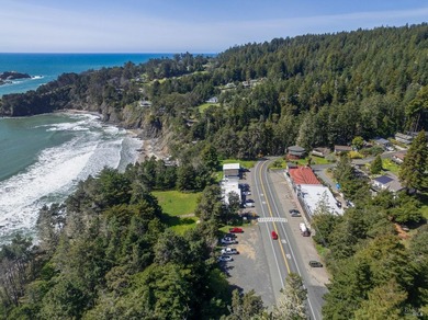 Beach Commercial For Sale in Gualala, California